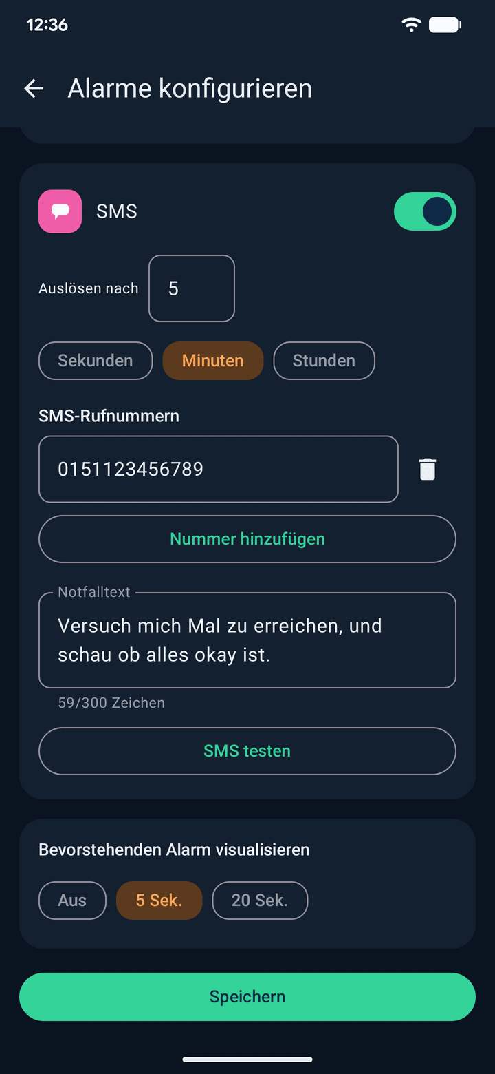 Einstellungen der App: Empfindlichkeit der Bewegungserkennung sowie Optionen für Laden und Systemstart